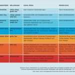 Social Media Reporting Vorlage Erstaunlich Angst Vor Dem Shitstorm Krisenprävention Digital Business