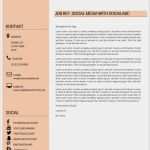 Social Media Reporting Vorlage Genial Lebenslauf Moderne Vorlage