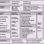Software Vergleich Vorlage Angenehm Business Wissen Management Security Lastenheft software