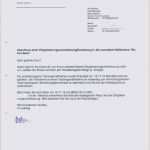 Sorgerechtsverfügung Alleinerziehende Vorlage Erstaunlich Bewerbung Alleinerziehende Mutter Muster