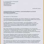 Sorgerechtsverfügung Alleinerziehende Vorlage Luxus 30 Wunderbar sorgerechtsverfügung Alleinerziehende Vorlage