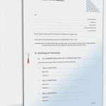 Sorgerechtsverfügung Alleinerziehende Vorlage Schön sorgerechtstestament Alleinerziehende