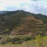 Spanische Email Vorlage Fabelhaft Spanische Weine Le Petit De La Casa Trossos