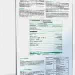 Sparbuch Gutschein Vorlagen Erstaunlich Anleitung Einkommensteuererklärung 2008