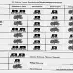 Spd Flyer Vorlage Schön Sinai Ii Iii