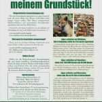 Spendenbescheinigung Vorlage Finanzamt Wunderbar Spendenbescheinigung Vorlage Finanzamt Schönste