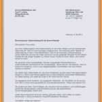 Sponsorenbrief Vorlage Erstaunlich Sponsorenbrief Vorlage