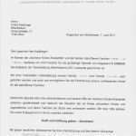 Sportverein Homepage Vorlage Schön 15 Dankschreiben Sponsoren