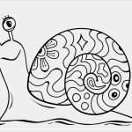 Sprechzeichnen Vorlagen Kostenlos Schön atemberaubend Schnecke Vorlage Zeitgenössisch Beispiel
