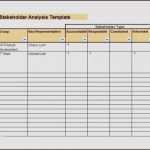 Stakeholderanalyse Vorlage Powerpoint Inspiration Stakeholderanalyse Vorlage Genial Berühmt Projekt