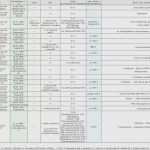 Stammbaum Vorlage 5 Generationen Erstaunlich 45 Einzigartig Stammbaum Vorlage 8 Generationen Modelle