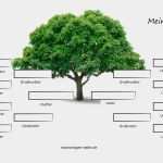 Stammbaum Vorlage Deutsch Bewundernswert Stammbaum Vorlage Woher Stammt Meine Familie