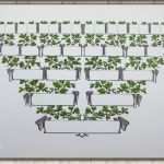 Stammbaum Vorlage Deutsch Erstaunlich 43 Gut Stammbaum Vorlage Zum Ausfüllen Kostenlos Modelle