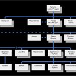 Stammbaum Vorlage Deutsch Schönste Tantaliden –