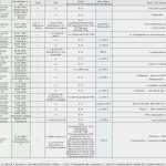 Stammbaum Vorlage Kostenlos Elegant Ziemlich Stammbaum Stammbaum Vorlage Galerie Entry Level