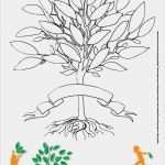 Stammbaum Vorlage Mit Geschwistern Best Of Berühmt Line Stammbaum Vorlage Zeitgenössisch