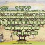 Stammbaum Vorlage Mit Geschwistern Einzigartig Stammbaum Vordruck