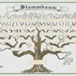 Stammbaum Vorlage Mit Geschwistern Wunderbar Stammbaum Vorlage Mit Geschwistern Schönste atelier