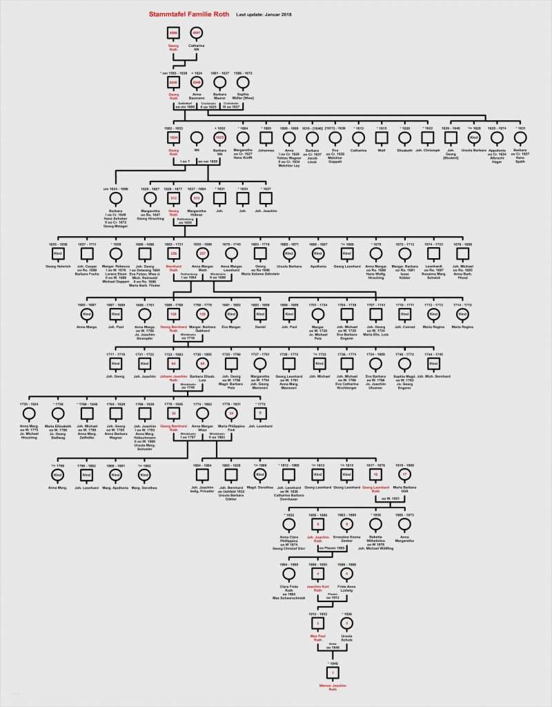 Stammbaum Vorlage Pdf Bewundernswert Ziemlich Stammbaum Stammbaum Vorlage Galerie Entry Level