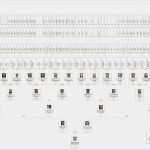 Stammbaum Vorlage Pdf Inspiration Gemütlich Stammbaum Stammbaum Vorlage Fotos Entry Level