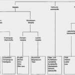 Stammbaum Vorlage Pdf Schön Stammbaum Vorlage Pdf Gemutlich Erstellen Sie Eine