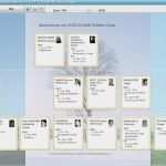 Stammbaum Vorlage Zum Ausdrucken Kostenlos Best Of Familienstammbaum software Für Ahnungsuche Gratis