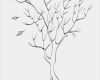Stammbaum Vorlage Zum Ausdrucken Kostenlos Cool Malvorlagen Bäume Ohne Blätter