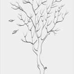 Stammbaum Vorlage Zum Ausdrucken Kostenlos Cool Malvorlagen Bäume Ohne Blätter