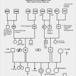 Stammbaum Vorlage Zum Ausdrucken Kostenlos Erstaunlich Stammbaum – Geistesschulung