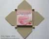 Stampin Up Verpackungen Vorlagen Erstaunlich Envelope Punch Board Box „mini Yogurette“