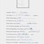 Steckbrief Erzieherin Vorlage Angenehm 13 Vorlage Steckbrief Erzieherin