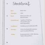 Steckbrief Erzieherin Vorlage Angenehm Steckbrief Kindergarten Praktikum Vorlage