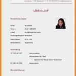 Steckbrief Erzieherin Vorlage Bewundernswert 15 Steckbrief Erzieherin Kindergarten