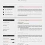 Stellenangebot Vorlage Word Wunderbar Die Besten 25 Vorlagen Lebenslauf Ideen Auf Pinterest