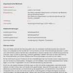 Stellenbeschreibung Teamleiter Vorlage Cool 0 1 Call Center Agent Bewerbung Muster