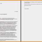 Stellenbeschreibung Teamleiter Vorlage Fabelhaft 8 Bewerbung Teamleiter Muster Kostenlos