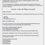 Stellenbeschreibung Teamleiter Vorlage Gut Bewerbungsschreiben Muster Bewerbungsschreiben