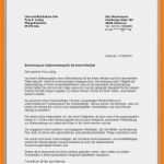 Stellenbeschreibung Teamleiter Vorlage Inspiration 15 Bewerbung Als Verkäuferin Muster Kostenlos