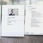 Stellenbeschreibung Vorlage Controller Einzigartig Niedlich Controller Lebenslauf Vorlage Fotos Entry Level