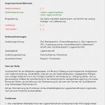 Stellenbeschreibung Vorlage Controller Großartig Berühmt Vorlage Der Stellenbeschreibung Fotos Beispiel