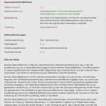 Stellenbeschreibung Vorlage Controller Neu Stellenbeschreibung Vorlage Controller Inspiration Fein