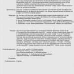 Stellenbeschreibung Vorlage Controller Schönste 10 Vorlage Stellenbeschreibung