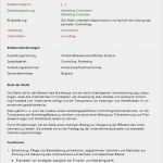 Stellenbeschreibung Vorlage Download Erstaunlich Stellenbeschreibung Vorlage Controller Einzigartig