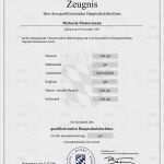 Stellenbeschreibung Vorlage Ihk Hübsch 15 Bachelor Zeugnis Muster