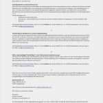 Stellenbeschreibung Vorlage Word Best Of Stellenbeschreibung Juni 2010 1