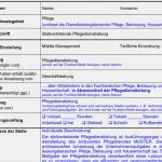 Stellenbeschreibung Vorlage Word Cool Stellenbeschreibung Stellvertretende Pflege Nstleitung