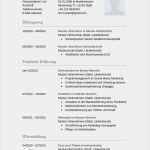 Stellenbeschreibung Vorlage Word Erstaunlich 17 formular Tabellarischer Lebenslauf