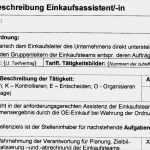 Stellenbeschreibung Vorlage Word Erstaunlich Stellenbeschreibung Einkaufsassistent In