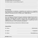 Stellenbeschreibung Vorlage Word Luxus Muster Stellenbeschreibungen Pdf