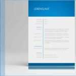 Stellengesuch Schreiben Vorlage Erstaunlich Lebenslauf Muster Bewerbung Zum Download Vom Designer